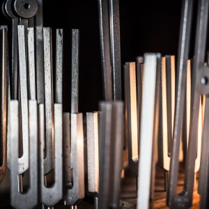 Biofield Tuning payment